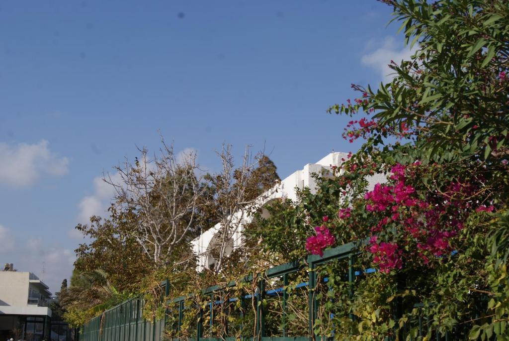 Thalassa Studios Faliraki Exterior foto
