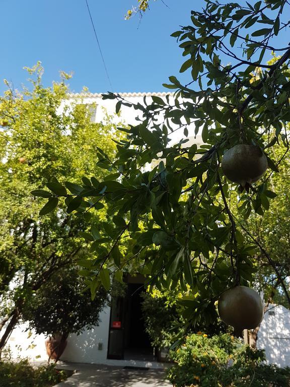 Thalassa Studios Faliraki Exterior foto
