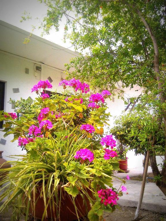 Thalassa Studios Faliraki Exterior foto